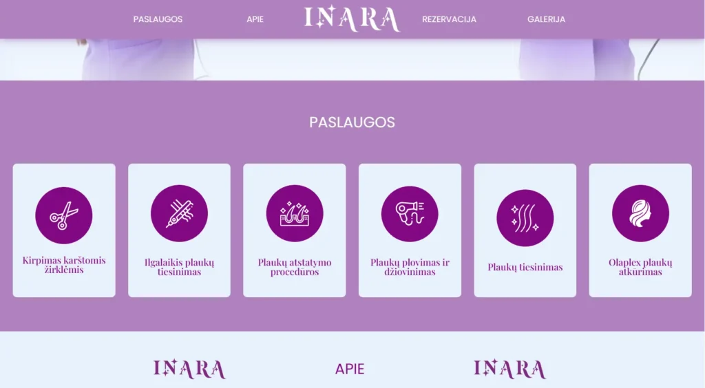 Slei projektas