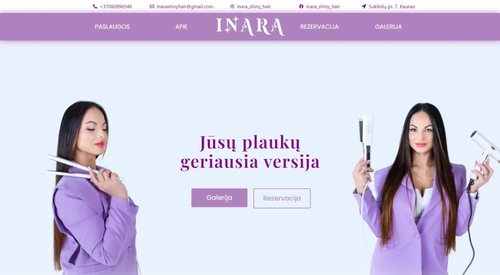 Slei projektas